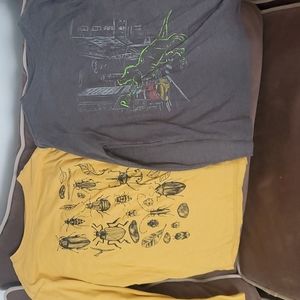 Bundle of 12 Boys Long Sleeve Tops